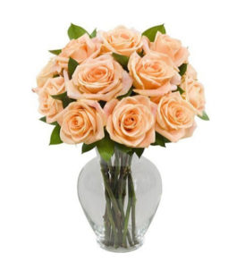 Peach Roses in a Vase | Flower Delivery In Jalandhar | Kalpa Florist, flower delivery in jalandhar, online flower delivery in jalandhar, online cake and flower delivery in jalandhar, cake and flower delivery in jalandhar, flower bouquet delivery in jalandhar, flower delivery jalandhar punjab, florist in jalandhar, buy flower for birthday, flower for happy birthday, flowers for birthday images, flower for birthday images, flower birthday cake, bouquet of flower for birthday, flower images for birthday wishes, september birth flower, july birth flower, december birth flower, august birth flower, flower bouquet for happy birthday, october birth flower, february birth flower, flower decoration for birthday at home, november birth flower,  birthday flowers with name,  april birth flower, flowers for birthday online, flower decoration for birthday party, flowers for birthday delivery, new flower decoration for birthday party at home, birthday flowers for lover, flower for husband birthday, flower crown for birthday girl, flower bouquet for birthday images, flower bouquet for birthday wishes, flower and birthday cake delivery