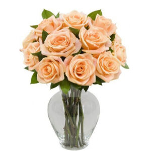 Peach Roses in a Vase | Flower Delivery In Jalandhar | Kalpa Florist, flower delivery in jalandhar, online flower delivery in jalandhar, online cake and flower delivery in jalandhar, cake and flower delivery in jalandhar, flower bouquet delivery in jalandhar, flower delivery jalandhar punjab, florist in jalandhar, buy flower for birthday, flower for happy birthday, flowers for birthday images, flower for birthday images, flower birthday cake, bouquet of flower for birthday, flower images for birthday wishes, september birth flower, july birth flower, december birth flower, august birth flower, flower bouquet for happy birthday, october birth flower, february birth flower, flower decoration for birthday at home, november birth flower,  birthday flowers with name,  april birth flower, flowers for birthday online, flower decoration for birthday party, flowers for birthday delivery, new flower decoration for birthday party at home, birthday flowers for lover, flower for husband birthday, flower crown for birthday girl, flower bouquet for birthday images, flower bouquet for birthday wishes, flower and birthday cake delivery