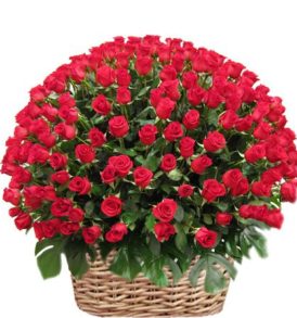 Flower Delivery Punjab