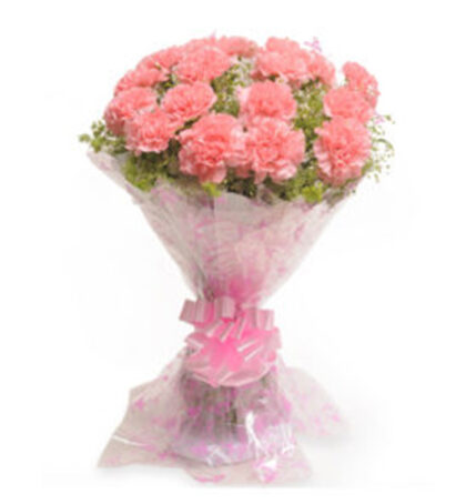 12  Pink Carnations Bunch