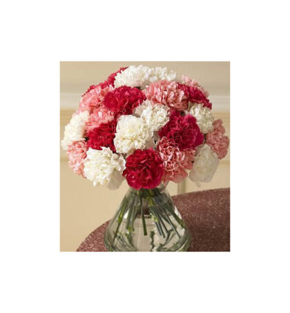 10 Red Carnation & 10 white Glads