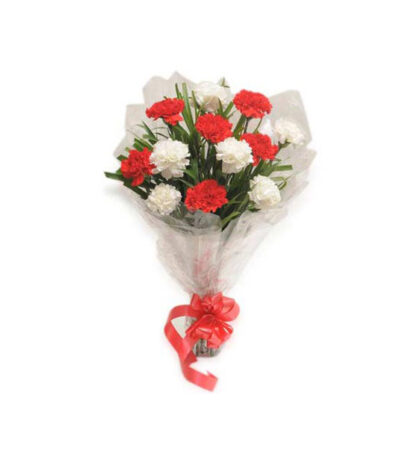 12 Red & White Carnations Bunch