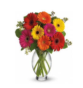12 Mix Gerberas Bunch | Flower Delivery Near Me | Kalpa Florist, flower delivery near me, flower for delivery near me, flower shop near me delivery, flower delivery near me same day, fresh flower delivery near me, flower delivery near me today, cake and flower delivery near me, flower delivery ludhiana, flower delivery service near me, part time flower delivery jobs near me, sympathy flowers delivery near me, flower delivery near me for today, what can i send instead of flowers for birthday, easter flower delivery near me, wine and flower delivery near me, how to send flowers for a birthday, which stores do free delivery, plant and flower delivery near me, how do i get flowers delivered to someone, flower delivery flower shop near me, how to send flowers same day, order flower delivery near me, where can i buy flowers from near me, best prices for flower delivery, 24 hour flower delivery near me, flower bookey home delivery near me, instant flower delivery near me, how to get flowers delivered to someone, how to gift flowers, valentines flower delivery near me, flower delivery driver jobs near me, peony flower delivery near me, flower delivery near me cheap, local flower delivery near me, flower delivery places near me, what is the cheapest flower delivery service, can i have flowers delivered today, flower delivery near me now, flower delivery jobs near me, flower delivery punjab, how to get flowers delivered same day, flower delivery near me open now, anniversary flower delivery near me, flower bouquet online delivery near me, flower home delivery near me, flower plant delivery near me, can you get flowers delivered same day, quick flower delivery near me, chocolate and flower delivery near me, rose flower delivery near me, where can i order flowers for delivery, flower gift delivery near me, best local flower delivery,  flower bouquet home delivery near me, flower arrangements delivery near me, exotic flower delivery near me, what to send instead of flowers for birthday, 