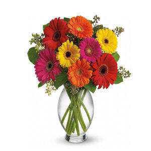 12 Mix Gerberas Bunch | Flower Delivery Near Me | Kalpa Florist, flower delivery near me, flower for delivery near me, flower shop near me delivery, flower delivery near me same day, fresh flower delivery near me, flower delivery near me today, cake and flower delivery near me, flower delivery ludhiana, flower delivery service near me, part time flower delivery jobs near me, sympathy flowers delivery near me, flower delivery near me for today, what can i send instead of flowers for birthday, easter flower delivery near me, wine and flower delivery near me, how to send flowers for a birthday, which stores do free delivery, plant and flower delivery near me, how do i get flowers delivered to someone, flower delivery flower shop near me, how to send flowers same day, order flower delivery near me, where can i buy flowers from near me, best prices for flower delivery, 24 hour flower delivery near me, flower bookey home delivery near me, instant flower delivery near me, how to get flowers delivered to someone, how to gift flowers, valentines flower delivery near me, flower delivery driver jobs near me, peony flower delivery near me, flower delivery near me cheap, local flower delivery near me, flower delivery places near me, what is the cheapest flower delivery service, can i have flowers delivered today, flower delivery near me now, flower delivery jobs near me, flower delivery punjab, how to get flowers delivered same day, flower delivery near me open now, anniversary flower delivery near me, flower bouquet online delivery near me, flower home delivery near me, flower plant delivery near me, can you get flowers delivered same day, quick flower delivery near me, chocolate and flower delivery near me, rose flower delivery near me, where can i order flowers for delivery, flower gift delivery near me, best local flower delivery,  flower bouquet home delivery near me, flower arrangements delivery near me, exotic flower delivery near me, what to send instead of flowers for birthday, 