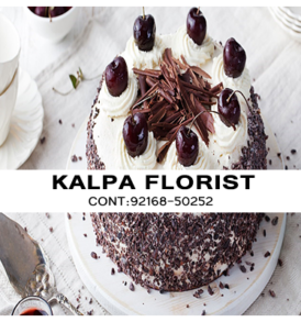 Send Chocolate Forest Cakes to Jalandhar Punjab India, Send Chocolate Forest Cakes to Jalandhar, Send Chocolate Forest Cakes to Punjab, Send Chocolate Forest Cakes to India, Send Cakes to Jalandhar Punjab India, Jalandhar, Punjab India, Send Chocolate Forest Cakes
