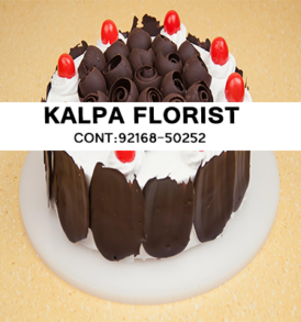Send Chocolate Forest Cakes to Jalandhar Punjab India, Send Chocolate Forest Cakes to Jalandhar, Send Chocolate Forest Cakes to Punjab, Send Chocolate Forest Cakes to India, Send Cakes to Jalandhar Punjab India, Jalandhar, Punjab India, Send Chocolate Forest Cakes