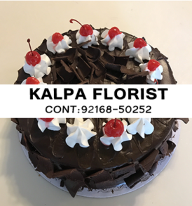 Send Chocolate Forest Cakes to Jalandhar Punjab India, Send Chocolate Forest Cakes to Jalandhar, Send Chocolate Forest Cakes to Punjab, Send Chocolate Forest Cakes to India, Send Cakes to Jalandhar Punjab India, Jalandhar, Punjab India, Send Chocolate Forest Cakes