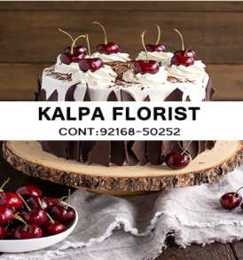 Send Chocolate Forest Cakes to Jalandhar Punjab India, Send Chocolate Forest Cakes to Jalandhar, Send Chocolate Forest Cakes to Punjab, Send Chocolate Forest Cakes to India, Send Cakes to Jalandhar Punjab India, Jalandhar, Punjab India, Send Chocolate Forest Cakes
