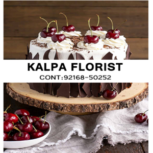 Send Chocolate Forest Cakes to Jalandhar Punjab India, Send Chocolate Forest Cakes to Jalandhar, Send Chocolate Forest Cakes to Punjab, Send Chocolate Forest Cakes to India, Send Cakes to Jalandhar Punjab India, Jalandhar, Punjab India, Send Chocolate Forest Cakes