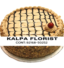 Send Tush Coffee Cake to Jalandhar Punjab India, Send Tush Coffee Cake to Jalandhar, Send Tush Coffee Cakes to Punjab, Send Tush Coffee Cakes to India, Send Cakes to Jalandhar Punjab India, Jalandhar, Punjab India, Send Tush Coffee Cakes