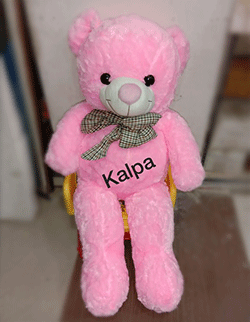 cute pink teddy bear
