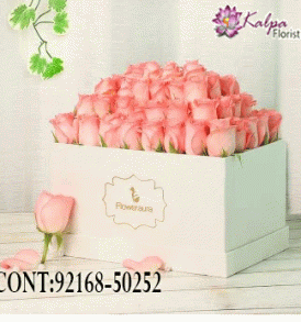 Buy Best flowers Online, Best  flowers  Online, Send flowers Online,send chocolates and flowers to India, send flowers  to Hyderabad, send flowers online, send flowers  to India, send flowers online Delhi, send chocolates and flowers online, send flowers in Mumbai, send flowers to Jalandhar, Kalpa Florist