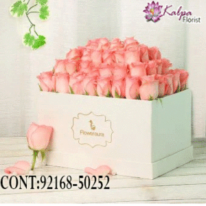 Buy Best flowers Online, Best  flowers  Online, Send flowers Online,send chocolates and flowers to India, send flowers  to Hyderabad, send flowers online, send flowers  to India, send flowers online Delhi, send chocolates and flowers online, send flowers in Mumbai, send flowers to Jalandhar, Kalpa Florist