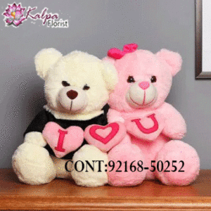 Buy Best teddy bear Online, Best  teddy bear  Online, Send teddy bear Online,send teddy bear to India, send teddy bear to Hyderabad, send teddy bear online, send teddy bear  to India, send teddy bear online Delhi, send teddy bear online, send teddy bear in Mumbai, send teddy bear to Jalandhar, Kalpa Florist