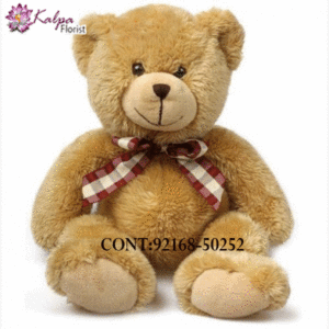 Buy Best teddy bear Online, Best  teddy bear  Online, Send teddy bear Online,send teddy bear to India, send teddy bear to Hyderabad, send teddy bear online, send teddy bear  to India, send teddy bear online Delhi, send teddy bear online, send teddy bear in Mumbai, send teddy bear to Jalandhar, Kalpa Florist