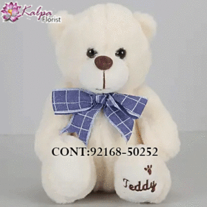 Buy Best teddy bears Online, Best  teddy bears  Online, Send teddy bears Online,send teddy bears to India, send teddy bears to Hyderabad, send teddy bears online, send teddy bears  to India, send teddy bears online Delhi, send teddy bears online, send teddy bears in Mumbai, send teddy bears to Jalandhar, Kalpa Florist