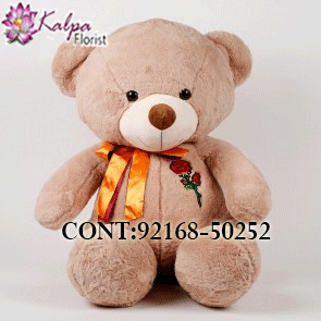 Buy Best teddy bears Online, Best  teddy bears  Online, Send teddy bears Online,send teddy bears and flowers to India, send teddy bears  to Hyderabad, send teddy bears online, send teddy bears  to India, send teddy bears online Delhi, send teddy bears and flowers online, send teddy bears in Mumbai, teddy bears to Jalandhar, Kalpa Florist