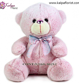 Buy Soft Toys Online Punjab India, Teddy Bear delivery in Jalandhar, Teddy bear Delivery in Jalandhar City, Buy Teddy Bear Online, Teddy bear Delivery to Jalandhar, Teddy Bear to Jalandhar,  Charming teddy bear to Jalandhar, Teddy bear Delivery in Jalandhar Same Day, Send Teddy bear Online with home Delivery, Same Day Online Teddy bear Delivery in Jalandhar, Online Teddy bear delivery in Jalandhar,  Midnight Teddy Bear delivery in Jalandhar,  Online shopping for Teddy Bear to Jalandhar Kalpa Florist