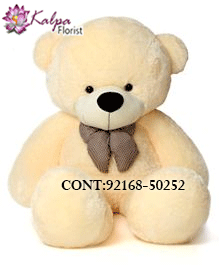 Buy Best teddy bear Online, Best teddy bear Online, Send teddy bear Online,send teddy bear to India, send teddy bear to Hyderabad, send teddy bear online, send teddy bear  to India, send teddy bear online Delhi, send teddy bear online, send teddy bear in Mumbai, send teddy bear to Jalandhar, Kalpa Florist