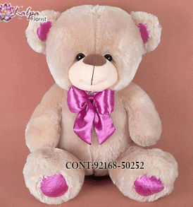 Buy Best teddy bear Online, Best teddy bear Online, Send teddy bear Online,send teddy bear to India, send teddy bear to Hyderabad, send teddy bear online, send teddy bear  to India, send teddy bear online Delhi, send teddy bear online, send teddy bear in Mumbai, send teddy bear to Jalandhar, Kalpa Florist