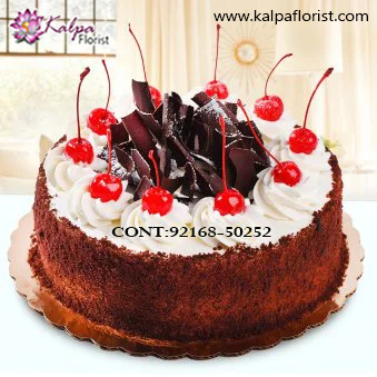 Online Cake Delivery Near Me,  Cakes Delivery to India,  Cakes to India, Cakes to Delhi Jalandhar India, Cakes online to India, Cakes Delivery in Jalandhar Same Day,  Send Cakes Online with home Delivery, Same Day Online Cakes Delivery in India,  Cakes wholesales in India, Online shopping for  Cakes to India in Kalpa Florist cake delivery in patiala, birthday cake delivery in patiala, online cake delivery in patiala punjab, midnight cake delivery in patiala, online cake delivery in patiala, cake shops in patiala for home delivery, online flower and cake delivery in patiala