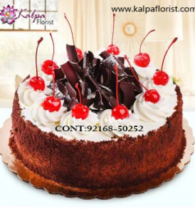 Order Cake Online Delivery Near Me,  Cakes Delivery to India,  Cakes to India, Cakes to Jalandhar India, Cakes online to India, Cakes Delivery in Jalandhar Same Day,  Send Cakes Online with home Delivery, Same Day Online Cakes Delivery in India,  Cakes wholesales in India, Online shopping for  Cakes to India in Kalpa Florist