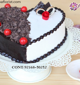 Order Midnight Cake Delivery,  Send Delicious Cake Online in Jalandhar, Online Cake Delivery at Midnight Delhi, Cakes Delivery in Jalandhar,  Cakes Delivery to Jalandhar,  Cakes to Jalandhar, Cakes to Jalandhar Online, Cakes online to Jalandhar, Cakes Delivery in Jalandhar Same Day,  Send Cakes Online with home Delivery, Same Day Online Cakes Delivery in Jalandhar,  Cakes wholesales in Jalandhar, Online shopping for  Cakes to Jalandhar in Kalpa Florist