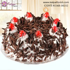 Home Delivery of Cakes in Jalandhar, Send Cakes to Jalandhar, Send Delicious Cake Online in Jalandhar, Online Cake Delivery at Midnight Delhi, Cakes Delivery in Jalandhar,  Cakes Delivery to Jalandhar,  Cakes to Jalandhar, Cakes to Jalandhar Online, Cakes online to Jalandhar, Cakes Delivery in Jalandhar Same Day,  Send Cakes Online with home Delivery, Same Day Online Cakes Delivery in Jalandhar,  Online shopping for  Cakes to Jalandhar in Kalpa Florist