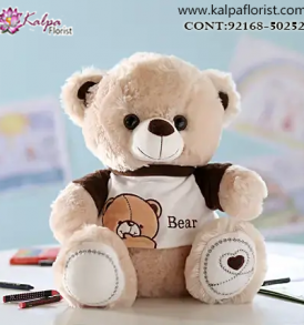 Teddy Gift Online, Teddy Bear delivery in Jalandhar, Teddy bear Delivery in Jalandhar City, Buy Teddy Bear Online, Teddy bear Delivery to Jalandhar, Teddy Bear to Jalandhar,  Charming teddy bear to Jalandhar, Teddy bear Delivery in Jalandhar Same Day, Send Teddy bear Online with home Delivery, Same Day Online Teddy bear Delivery in Jalandhar, Online Teddy bear delivery in Jalandhar,  Midnight Teddy Bear delivery in Jalandhar,  Online shopping for Teddy Bear to Jalandhar Kalpa Florist
