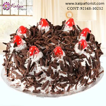 Birthday Cake Home Delivery Near Me, Order Cake Home Delivery,  Send Delicious Cake Online in Jalandhar, Online Cake Delivery at Midnight Delhi, Cakes Delivery in Jalandhar,  Cakes Delivery to Jalandhar,  Cakes to Jalandhar, Cakes to Jalandhar Online, Cakes online to Jalandhar, Cakes Delivery in Jalandhar Same Day,  Send Cakes Online with home Delivery, Same Day Online Cakes Delivery in Jalandhar,  Online shopping for  Cakes to Jalandhar in Kalpa Florist