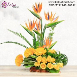 Flowers Delivery Online Ludhiana, Punjab, Online Delivery of Flowers in Jalandhar, Send flowers to Jalandhar Online, Send flowers to Jalandhar Punjab,�
