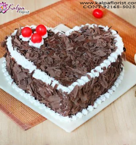 Best Birthday Celebration Cake, Online Cake Delivery, Order Cake Online, Send Cakes to Punjab, Online Cake Delivery in Punjab,  Online Cake Order,  Cake Online, Online Cake Delivery in India, Online Cake Delivery Near Me, Online Birthday Cake Delivery in Bangalore,  Send Cakes Online with home Delivery, Online Cake Delivery India,  Online shopping for  Cakes to Jalandhar, Order Birthday Cakes, Order Delicious Cakes Home Delivery Online, Buy and Send Cakes to India, Kalpa Florist.