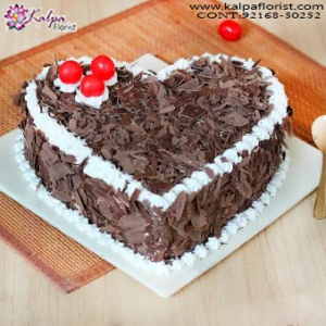 Best Birthday Celebration Cake, Online Cake Delivery, Order Cake Online, Send Cakes to Punjab, Online Cake Delivery in Punjab,  Online Cake Order,  Cake Online, Online Cake Delivery in India, Online Cake Delivery Near Me, Online Birthday Cake Delivery in Bangalore,  Send Cakes Online with home Delivery, Online Cake Delivery India,  Online shopping for  Cakes to Jalandhar, Order Birthday Cakes, Order Delicious Cakes Home Delivery Online, Buy and Send Cakes to India, Kalpa Florist.