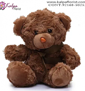 Buy Soft Toys Online India, Teddy Bear Online, Send Gifts to Mumbai Online , Teddy Bear Online Purchase, Teddy Bear Online Booking, Buy Teddy Bear Online, Teddy Bear Online in India, Teddy Bear Online Australia, Teddy Bear Online South Africa, Send Teddy bear Online with home Delivery, Same Day Online Teddy bear Delivery in Jalandhar, Online Teddy bear delivery in Jalandhar,  Midnight Teddy Bear delivery in Jalandhar,  Online shopping for Teddy Bear to Jalandhar, Kalpa Florist