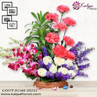 Deliver Flowers in Kapurthala, Order Online Flowers , Online Flowers India , Gifts Flowers Online, Online Flowers Delivery in India, Fresh Flowers Online Mumbai,  Online Flower Delivery in Mumbai, Online Flower Delivery at Mumbai, Buy Flowers Online Mumbai, Flowers Bouquet Online Mumbai, Cheap Flowers Online Mumbai, Send Flowers Online with home Delivery, Online Flowers Delivery Mumbai, Online Flowers Delivery Mumbai, Best Online Flower Delivery Mumbai,  Online Flower Delivery Navi Mumbai, Kalpa Florist