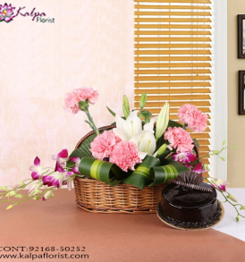 Flowers, Cake & Gifts - Delhi, Combo Gifts Delivery, Combo Online, Send Combo Gifts India, Buy Combo Gifts Online, Buy/Send Online All Combo Gifts, Send Combos gifts Online with home Delivery, Gifts Combos Online, Send Combos Birthday Gifts Online Delivery, Birthday Gifts,  Online Gift Delivery, Buy Combo Gifts for Birthday Online, Gift Combos For Her, Gift Combo for Him, Kalpa Floris