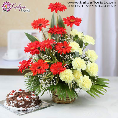 Send Combo Gifts to Delhi, Combo Gifts Delivery, Combo Online, Send Combo Gifts India, Buy Combo Gifts Online, Buy/Send Online All Combo Gifts, Send Combos gifts Online with home Delivery, Gifts Combos Online, Send Combos Birthday Gifts Online Delivery, Birthday Gifts,  Online Gift Delivery, Buy Combo Gifts for Birthday Online, Gift Combos For Her, Gift Combo for Him, Kalpa Florist