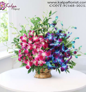 Send Flowers Online In Delhi, Order Online Flowers, Same Day Flowers Delivery, Online Flowers Delivery, Flower Delivery Online, Order Flowers Online India, Buy/Send Flowers, Online Flower Delivery India, Best Flower Delivery in India, Send Flowers Online Mumbai, Send Flowers Online Bangalore, Send Flowers Online Pune, Online Flower Delivery in Delhi, Flower Bouquet Online Delivery, Online Flowers Delivery in Hyderabad, Kalpa Florist