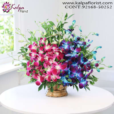 Send Flowers Online In Delhi, Order Online Flowers, Same Day Flowers Delivery, Online Flowers Delivery, Flower Delivery Online, Order Flowers Online India, Buy/Send Flowers, Online Flower Delivery India, Best Flower Delivery in India, Send Flowers Online Mumbai, Send Flowers Online Bangalore, Send Flowers Online Pune, Online Flower Delivery in Delhi, Flower Bouquet Online Delivery, Online Flowers Delivery in Hyderabad, Kalpa Florist