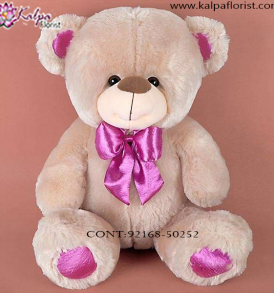 Send Teddy Bear Online Delhi,  Send Gifts to Mumbai Online , Teddy Bear Online Purchase, Teddy Bear Online Booking, Buy Teddy Bear Online, Teddy Bear Online in India, Teddy Bear Online Australia, Teddy Bear Online South Africa, Send Teddy bear Online with home Delivery, Same Day Online Teddy bear Delivery in Jalandhar, Online Teddy bear delivery in Jalandhar,  Midnight Teddy Bear delivery in Jalandhar,  Online shopping for Teddy Bear to Jalandhar, Kalpa Florist