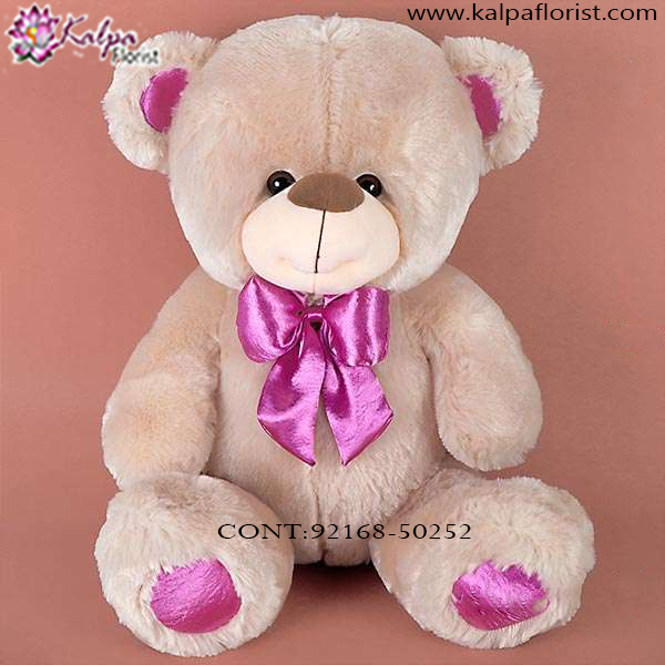 teddy bear online booking