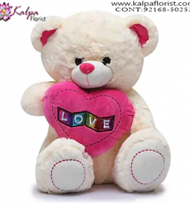 Send Teddy Bear to Delhi,  Send Gifts to Mumbai Online , Teddy Bear Online Purchase, Teddy Bear Online Booking, Buy Teddy Bear Online, Teddy Bear Online in India, Teddy Bear Online Australia, Teddy Bear Online South Africa, Send Teddy bear Online with home Delivery, Same Day Online Teddy bear Delivery in Jalandhar, Online Teddy bear delivery in Jalandhar,  Midnight Teddy Bear delivery in Jalandhar,  Online shopping for Teddy Bear to Jalandhar, Kalpa Florist