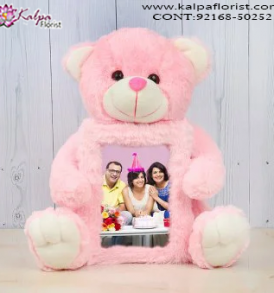  Send Teddy Bear to Kapurthala, Teddy Bear Online, Send Gifts to Mumbai Online , Teddy Bear Online Purchase, Teddy Bear Online Booking, Buy Teddy Bear Online, Teddy Bear Online in India, Teddy Bear Online Australia, Teddy Bear Online South Africa, Buy a Teddy Bear Online, Send Teddy bear Online with home Delivery, Same Day Online Teddy bear Delivery in Jalandhar, Online Teddy bear delivery in Jalandhar,  Midnight Teddy Bear delivery in Jalandhar,  Online shopping for Teddy Bear to Jalandhar, Kalpa Florist