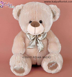  Soft Toys Gifts in Delhi,  Send Gifts to Mumbai Online , Teddy Bear Online Purchase, Teddy Bear Online Booking, Buy Teddy Bear Online, Teddy Bear Online in India, Teddy Bear Online Australia, Teddy Bear Online South Africa, Send Teddy bear Online with home Delivery, Same Day Online Teddy bear Delivery in Jalandhar, Online Teddy bear delivery in Jalandhar,  Midnight Teddy Bear delivery in Jalandhar,  Online shopping for Teddy Bear to Jalandhar, Kalpa Florist