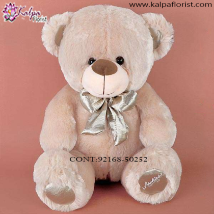  Soft Toys Gifts in Delhi,  Send Gifts to Mumbai Online , Teddy Bear Online Purchase, Teddy Bear Online Booking, Buy Teddy Bear Online, Teddy Bear Online in India, Teddy Bear Online Australia, Teddy Bear Online South Africa, Send Teddy bear Online with home Delivery, Same Day Online Teddy bear Delivery in Jalandhar, Online Teddy bear delivery in Jalandhar,  Midnight Teddy Bear delivery in Jalandhar,  Online shopping for Teddy Bear to Jalandhar, Kalpa Florist