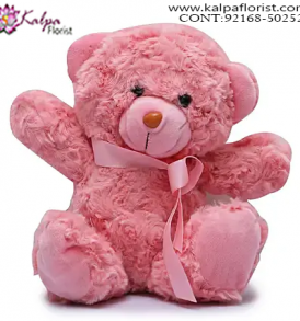 Teddy Bear Delivery in Delhi,  Send Gifts to Mumbai Online , Teddy Bear Online Purchase, Teddy Bear Online Booking, Buy Teddy Bear Online, Teddy Bear Online in India, Teddy Bear Online Australia, Teddy Bear Online South Africa, Send Teddy bear Online with home Delivery, Same Day Online Teddy bear Delivery in Jalandhar, Online Teddy bear delivery in Jalandhar,  Midnight Teddy Bear delivery in Jalandhar,  Online shopping for Teddy Bear to Jalandhar, Kalpa Florist