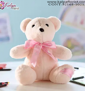 Best Teddy Bear Shop Near Me, 5 Feet Teddy Bear Online Shopping, 12 Foot Teddy Bear, 20 Foot Teddy Bear, Big Teddy Bear Price,  Online soft Toys Shopping India, Online Buy Soft Toys India, Best Soft Toys Online India, Soft Toys for Babies, Soft Toys Dog, Soft Toys Shop Near Me, Cheap Soft Toys Online, Soft Toys Online India, Send Soft Toys Online India, Buy & Send Soft Toys Online, Send Online Gifts to Chandigarh, Birthday Surprise in Chandigarh, Teddy Bear, Send Teddy Bear to Chandigarh, Soft Toys India Online Shopping, Soft Toys Chandigarh India, Buy Soft Toys Online India, Cheap Soft Toys Online India, Kalpa Florist.