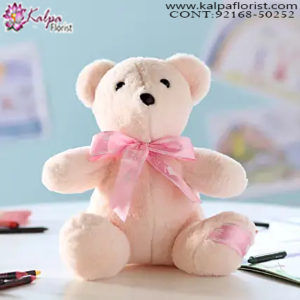 Best Teddy Bear Shop Near Me, 5 Feet Teddy Bear Online Shopping, 12 Foot Teddy Bear, 20 Foot Teddy Bear, Big Teddy Bear Price,  Online soft Toys Shopping India, Online Buy Soft Toys India, Best Soft Toys Online India, Soft Toys for Babies, Soft Toys Dog, Soft Toys Shop Near Me, Cheap Soft Toys Online, Soft Toys Online India, Send Soft Toys Online India, Buy & Send Soft Toys Online, Send Online Gifts to Chandigarh, Birthday Surprise in Chandigarh, Teddy Bear, Send Teddy Bear to Chandigarh, Soft Toys India Online Shopping, Soft Toys Chandigarh India, Buy Soft Toys Online India, Cheap Soft Toys Online India, Kalpa Florist.