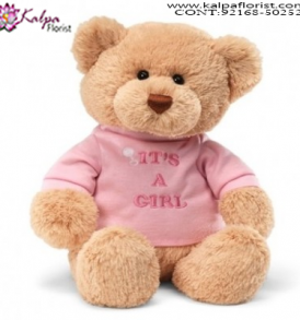 Buy Soft Toys Online, 5 Feet Teddy Bear Online Shopping, 12 Foot Teddy Bear, 20 Foot Teddy Bear, Big Teddy Bear Price,  Online soft Toys Shopping India, Online Buy Soft Toys India, Best Soft Toys Online India, Soft Toys for Babies, Soft Toys Dog, Soft Toys Shop Near Me, Cheap Soft Toys Online, Soft Toys Online India, Send Soft Toys Online India, Buy & Send Soft Toys Online, Send Online Gifts to Chandigarh, Birthday Surprise in Chandigarh, Teddy Bear, Send Teddy Bear to Chandigarh, Soft Toys India Online Shopping, Soft Toys Chandigarh India, Buy Soft Toys Online India, Cheap Soft Toys Online India, Kalpa Florist.