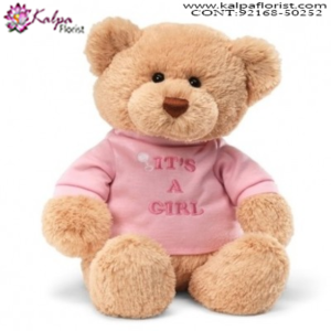 Buy Soft Toys Online, 5 Feet Teddy Bear Online Shopping, 12 Foot Teddy Bear, 20 Foot Teddy Bear, Big Teddy Bear Price,  Online soft Toys Shopping India, Online Buy Soft Toys India, Best Soft Toys Online India, Soft Toys for Babies, Soft Toys Dog, Soft Toys Shop Near Me, Cheap Soft Toys Online, Soft Toys Online India, Send Soft Toys Online India, Buy & Send Soft Toys Online, Send Online Gifts to Chandigarh, Birthday Surprise in Chandigarh, Teddy Bear, Send Teddy Bear to Chandigarh, Soft Toys India Online Shopping, Soft Toys Chandigarh India, Buy Soft Toys Online India, Cheap Soft Toys Online India, Kalpa Florist.